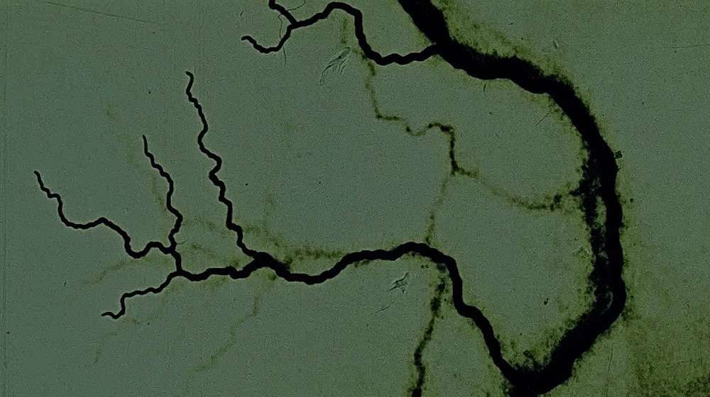 IN SITU: Steven Woloshen & Brian Virostek