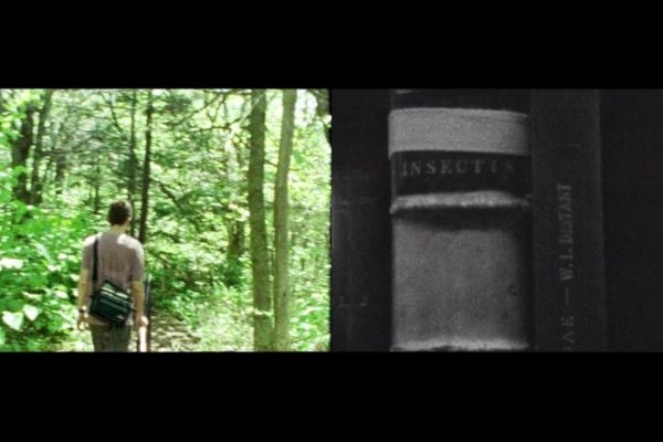 Dialogue du Tigre Dialogue du Tigre