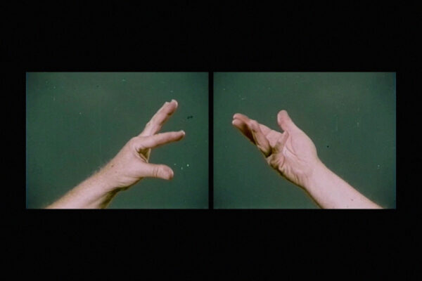 Antropos - Carolina Jaschack Antropos - Carolina Jaschack