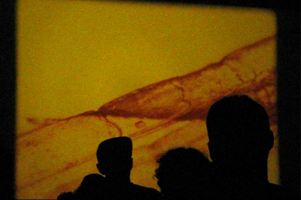 Crédit: Samy Benammar Crédit: Samy Benammar