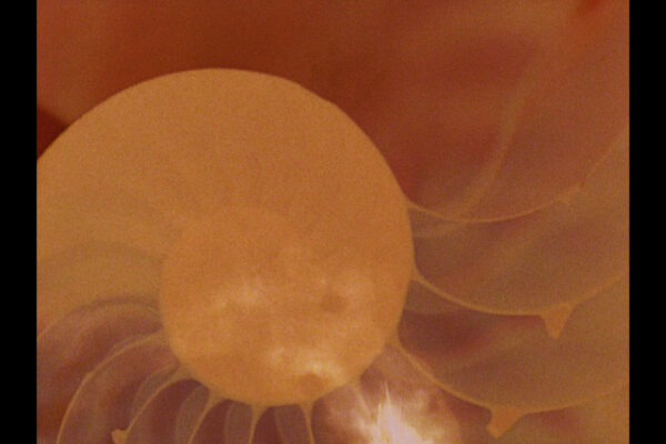 Shellie Fleming Shellie Fleming