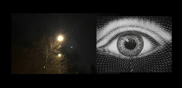 Migrer le musée | Nayla Dabaji Migrer le musée | Nayla Dabaji