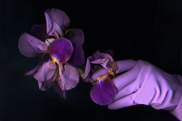 Sarah Seené | Dans un rectangle absolu, le printemps Sarah Seené | Dans un rectangle absolu, le printemps