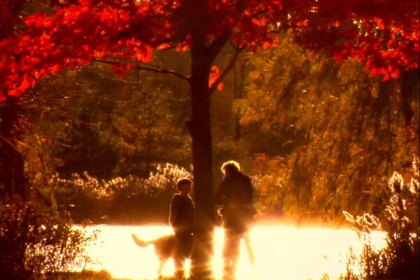 Le Rêve et la Radio | Ana Tapia Rousiouk & Renaud Després-Larose Le Rêve et la Radio | Ana Tapia Rousiouk & Renaud Després-Larose