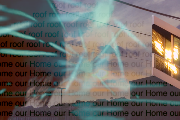 Shooting Star Summer Solstice (Dong) Shooting Star Summer Solstice (Dong)