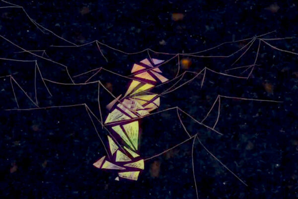 Quid | Marie-Noëlle Moreau-Robidas Quid | Marie-Noëlle Moreau-Robidas