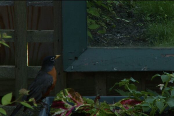 Armoire (in 4 parts) | Vincent Grenier Armoire (in 4 parts) | Vincent Grenier