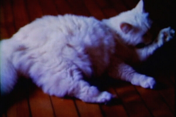 Weird, Weirder, Weirdest | Clint Enns Weird, Weirder, Weirdest | Clint Enns