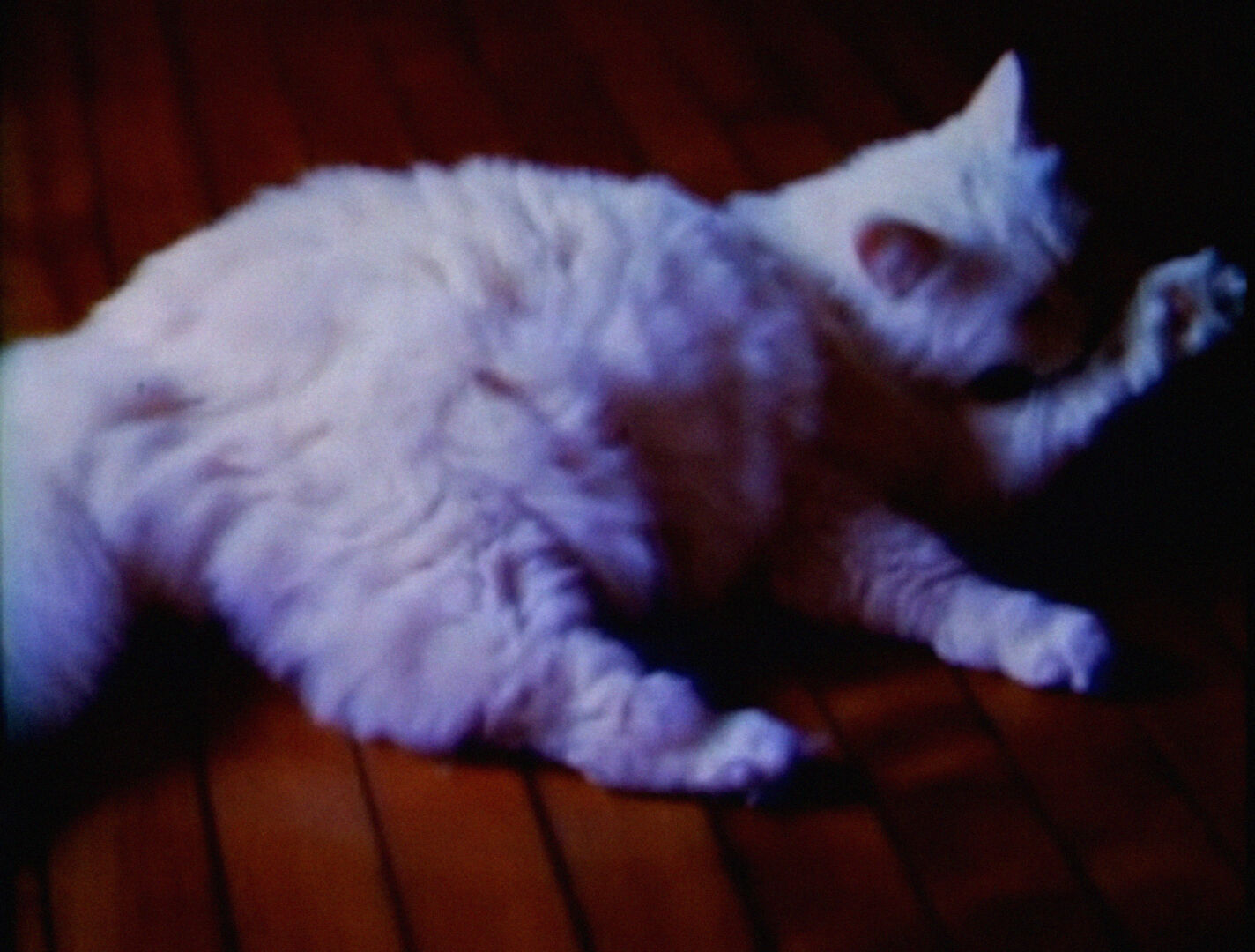 Première vue : Clint Enns