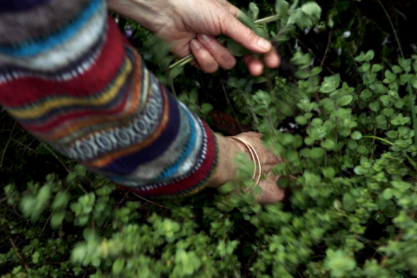 Foragers | Jumana Manna Foragers | Jumana Manna