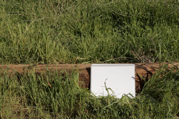 6500 | Lisa Truttmann