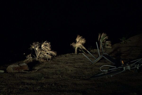 Anything Can Happen | Lisa Truttmann