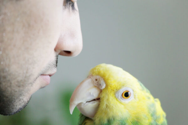 Babash | Lisa Truttmann