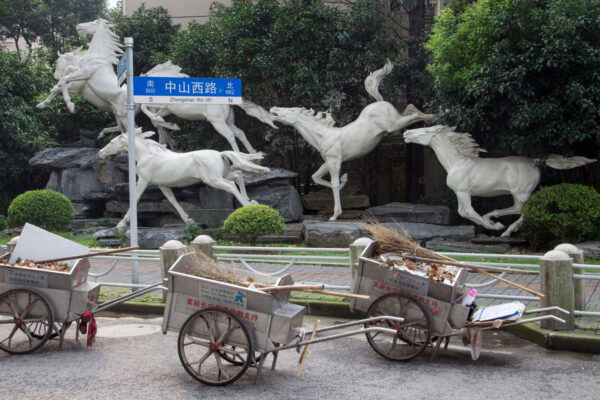 The Courser | Lisa Truttmann