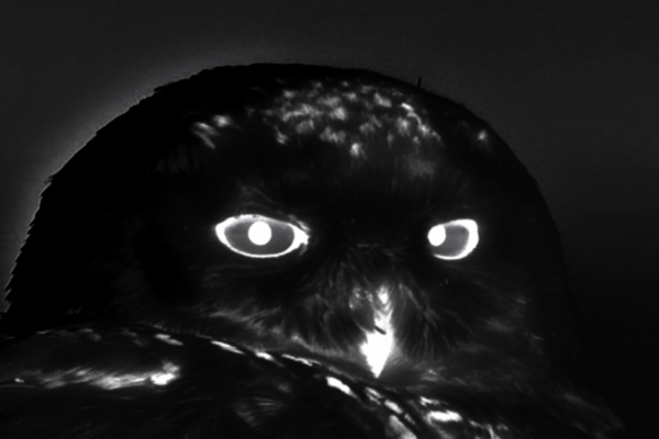 KILVO | Michaela Grill KILVO | Michaela Grill