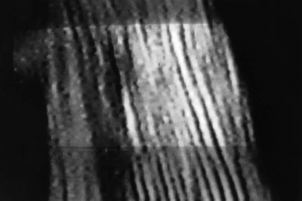 o.T/untitled | Michaela Grill o.T/untitled | Michaela Grill