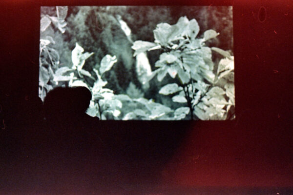 Photo - Samy Benammar Photo - Samy Benammar