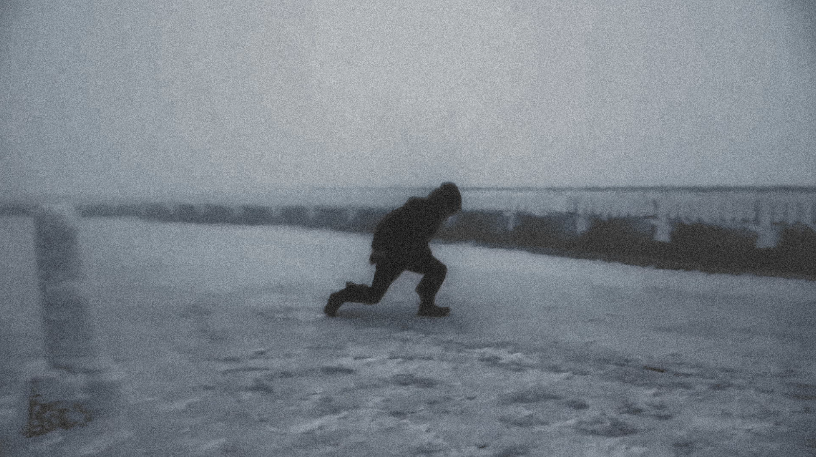 VISIONS : MIKE HOOLBOOM