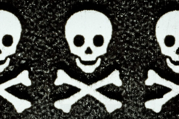 Dingbats | Scott Fitzpatrick Dingbats | Scott Fitzpatrick