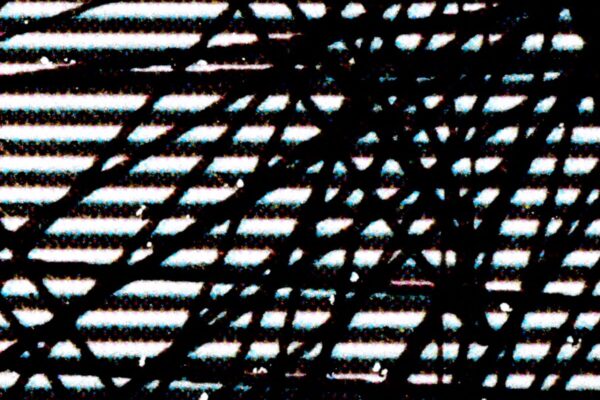 Escrituras | Scott Fitzpatrick Escrituras | Scott Fitzpatrick