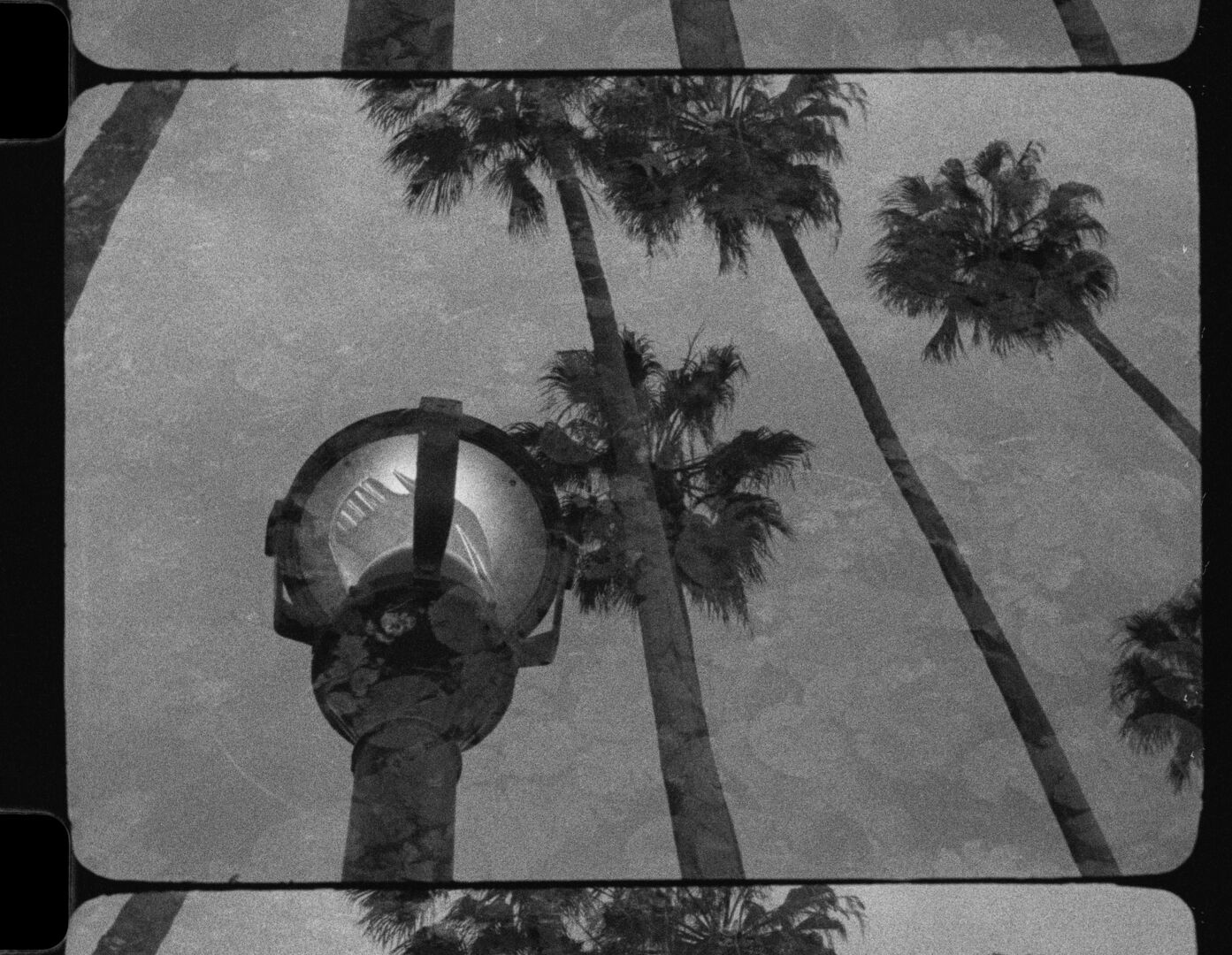 DISPATCH FROM LOS ANGELES