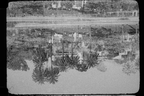 Background Background