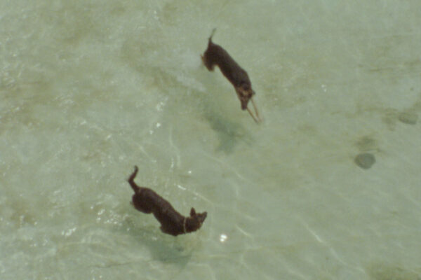 Spielende | Helga Fanderl Spielende | Helga Fanderl