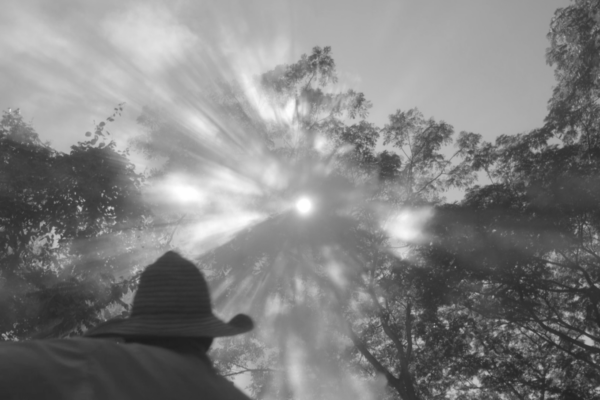 He walks beside you | Roberto Tarazona He walks beside you | Roberto Tarazona