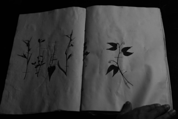 Pipit Dalam Badai (Sparrow in a Storm) | Van Luber Parensen Pipit Dalam Badai (Sparrow in a Storm) | Van Luber Parensen