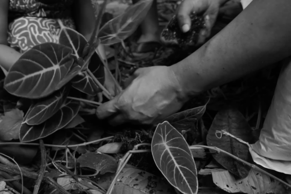 Pipit Dalam Badai (Sparrow in a Storm) | Van Luber Parensen Pipit Dalam Badai (Sparrow in a Storm) | Van Luber Parensen