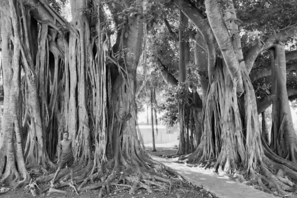 Presbicia | Juan Pablo Donoso Presbicia | Juan Pablo Donoso