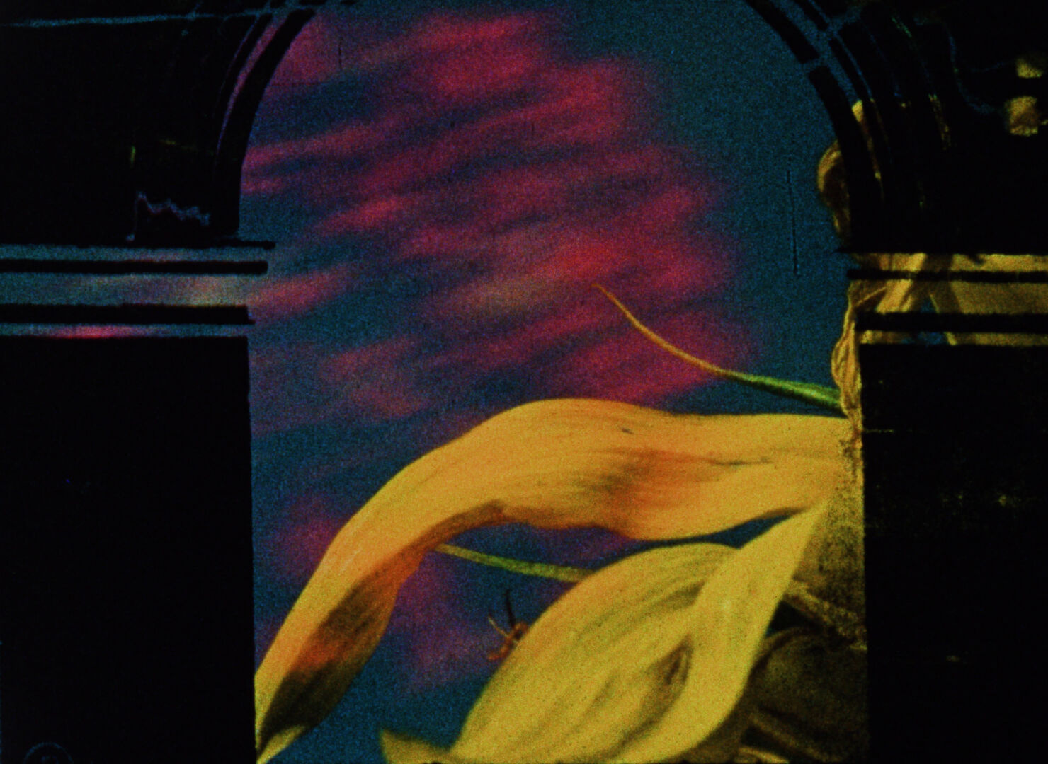 DIFFRACTION | Tournée européenne