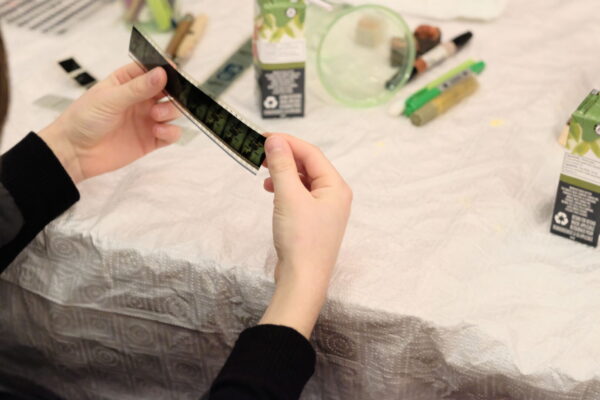 Photo | Petra Müller Photo | Petra Müller