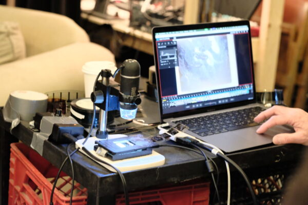 Photo | Petra Müller Photo | Petra Müller