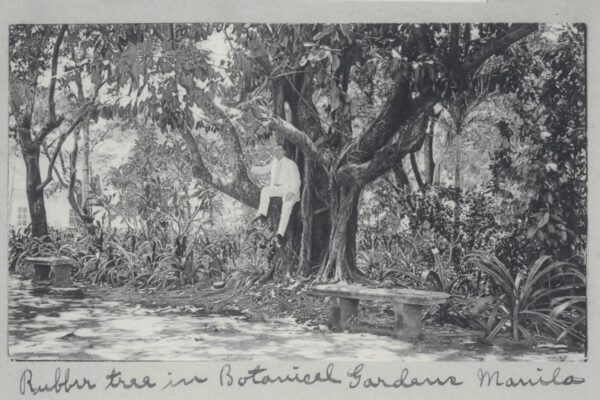 To Pick A Flower | Shireen Seno To Pick A Flower | Shireen Seno