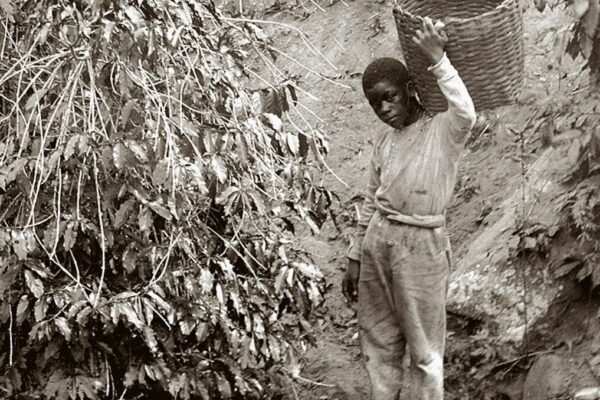 The White Death of the Black Wizard | Rodrigo Ribeiro-Andrade The White Death of the Black Wizard | Rodrigo Ribeiro-Andrade