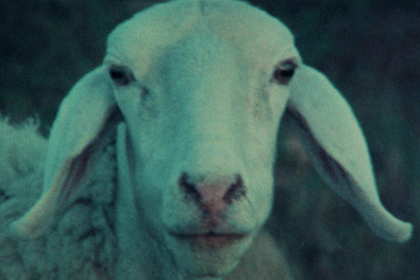 Avant Seriana | Samy Benammar Avant Seriana | Samy Benammar