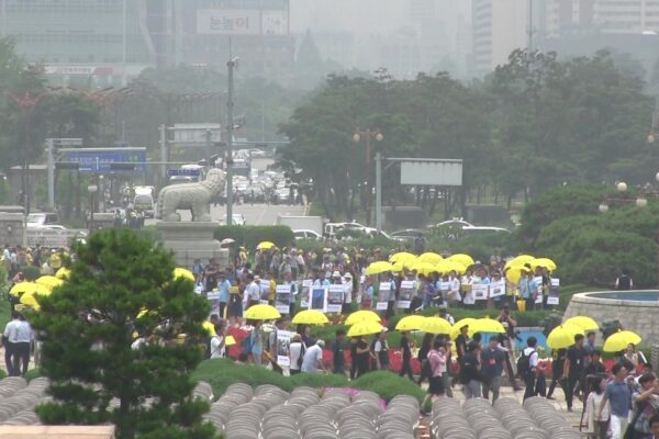 SEWOL: Years in the Wind | Kim Hwan-tae & Moon Jong-taek SEWOL: Years in the Wind | Kim Hwan-tae & Moon Jong-taek