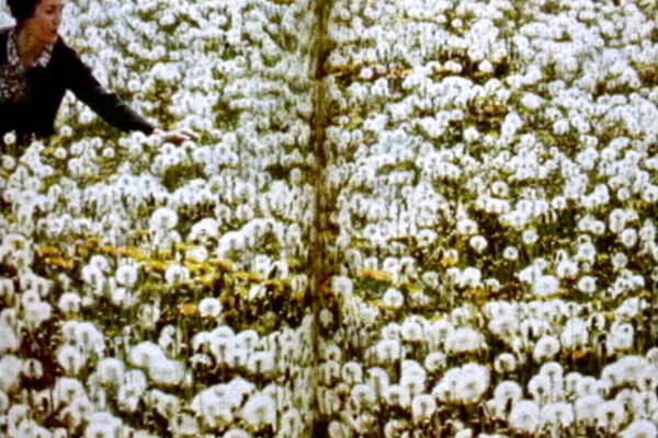 You Don’t Bring Me Flowers | Michael Robinson You Don’t Bring Me Flowers | Michael Robinson