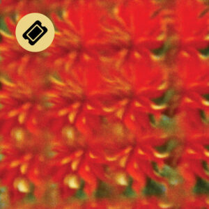 Billet | 15.05.2026 | DIFFRACTION