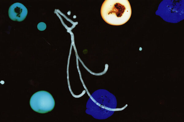 Cameras Take Five | Steven Woloshen Cameras Take Five | Steven Woloshen