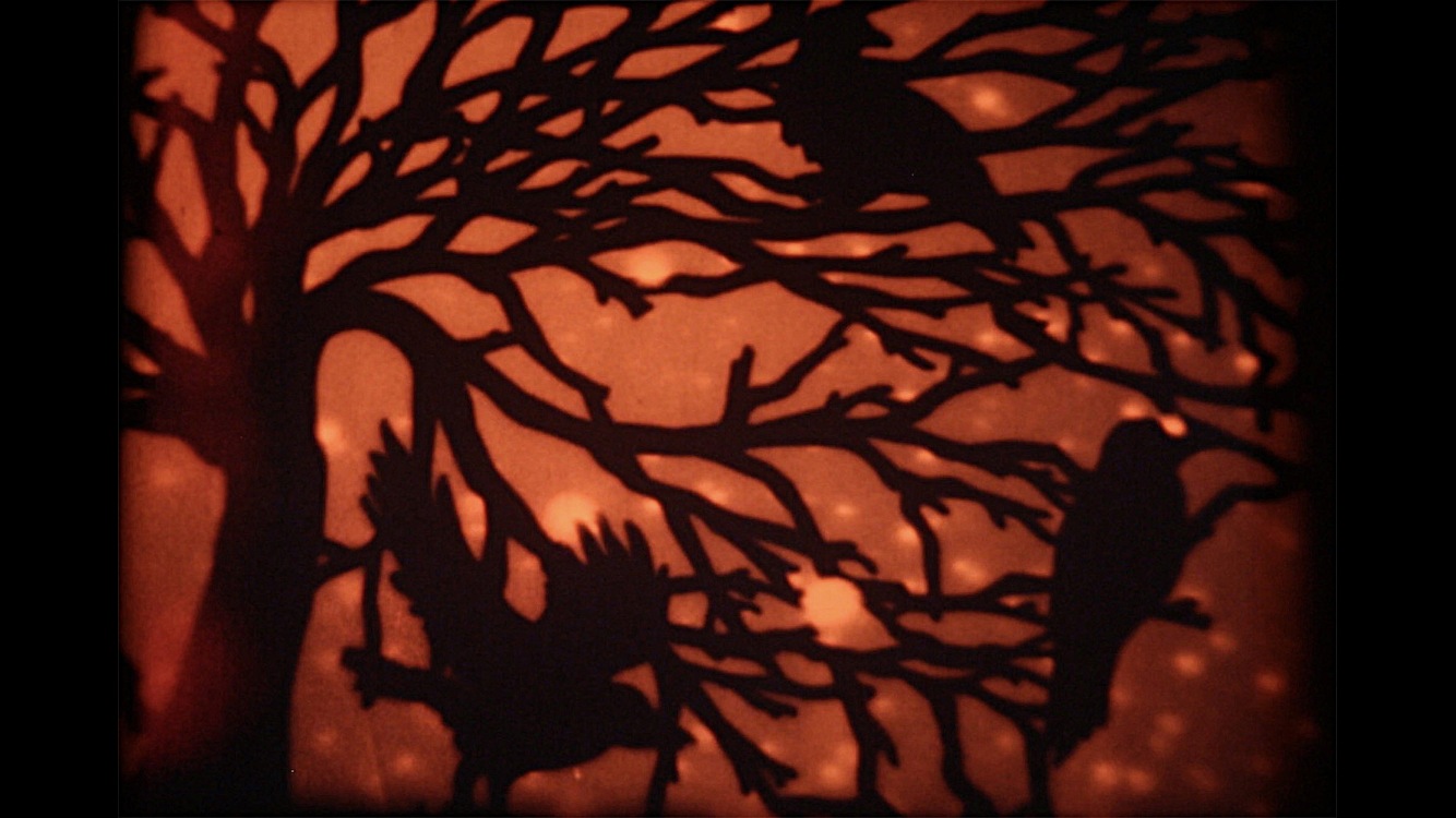 The Cat Lands on All Fours : Some moving image works by Kerry Laitala