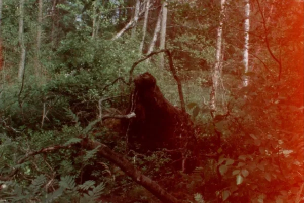 On Unshaped Dialogue | Charlotte Clermont On Unshaped Dialogue | Charlotte Clermont