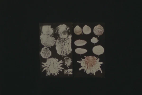 special dark glass somewhere | Charlotte Clermont special dark glass somewhere | Charlotte Clermont