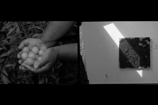 hand to earth, earth to hand | Julia Yezbick hand to earth, earth to hand | Julia Yezbick