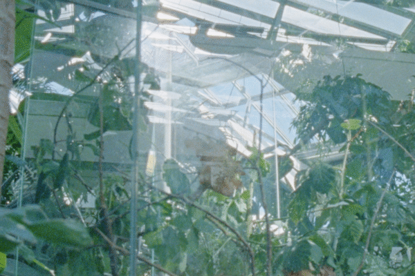 Aggregate Body | Diego Behncke Aggregate Body | Diego Behncke