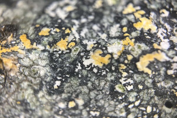 Materia | Alisi Telengut Materia | Alisi Telengut