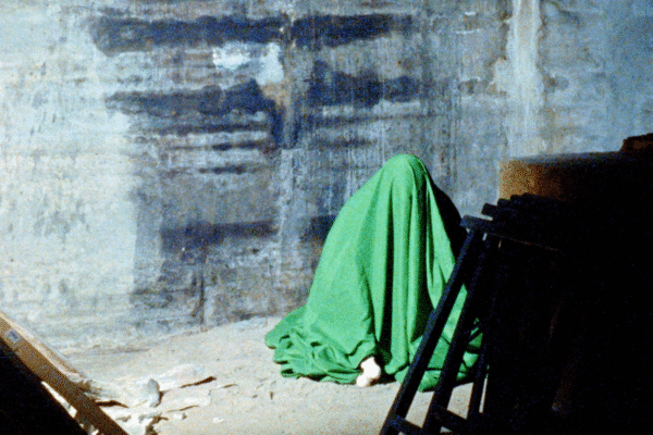 Negative Hallucination | Diego Behncke Negative Hallucination | Diego Behncke