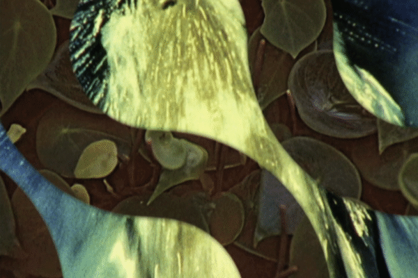Mercurial Matter | Lily Jue Sheng Mercurial Matter | Lily Jue Sheng