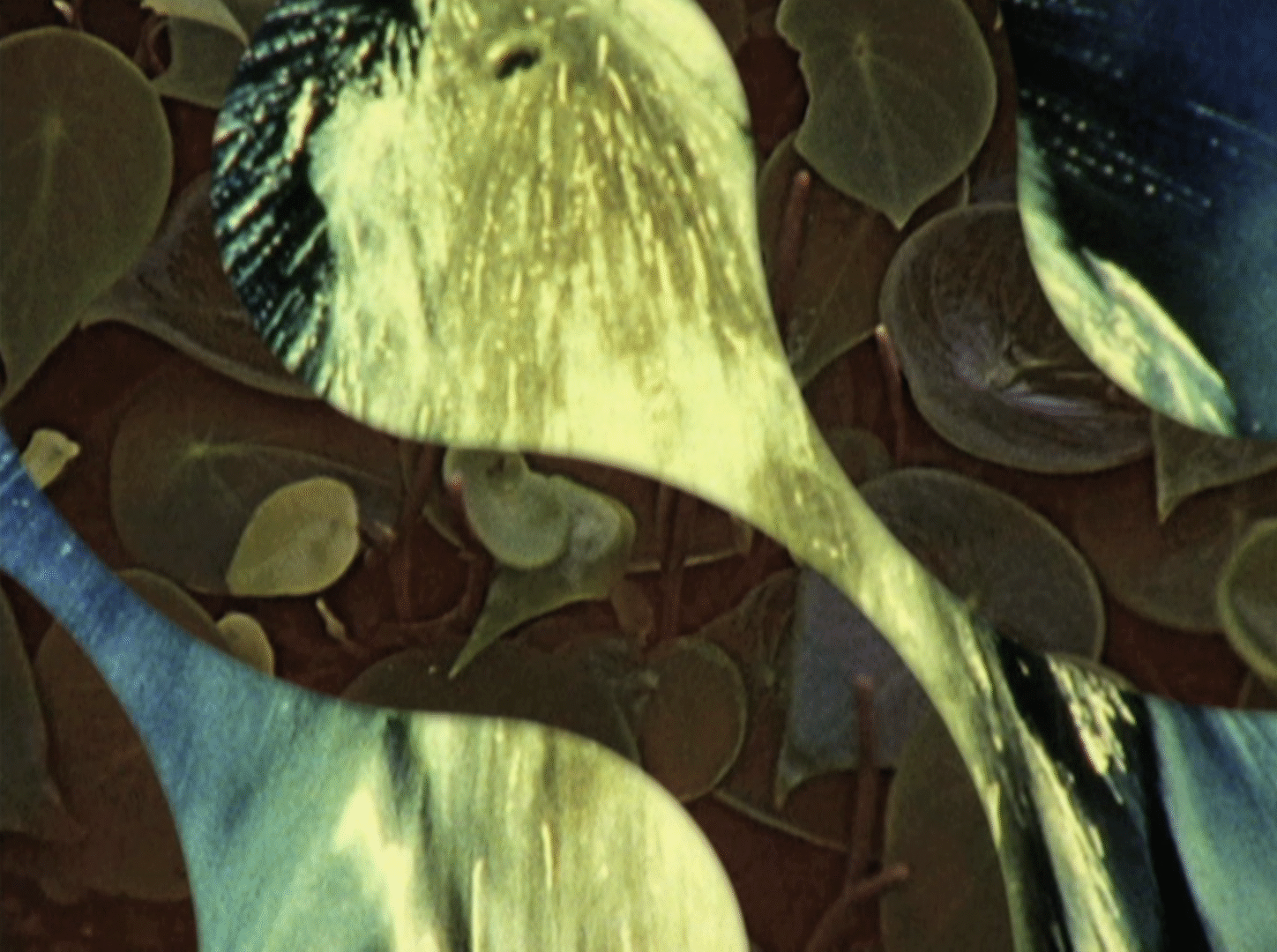 very abstract and a little bit harsh : films & poetry by Lily Jue Sheng